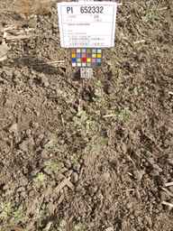 PI_652332_01ncai01_SD_PL_XX_2013-07-03_01.jpg