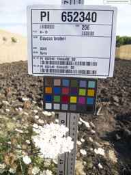PI_652340_03ncai01_SD_PL_UM_2013-08-02_01.jpg