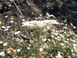 PI_652340_03ncai01_SD_PL_UM_2013-08-02_07.jpg