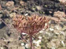 PI_652343_02ncai01_SD_SD_XX_2013-08-29_03.jpg