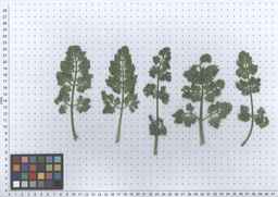 PI_652343_99ncao01_SD_PL_LV_2011-06-07_01.jpg