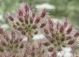 PI_652343_99ncao01_SD_PL_UM_2011-07-21_02.jpg