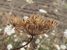 PI_652343_99ncao01_SD_SD_XX_2011-08-18_01.jpg