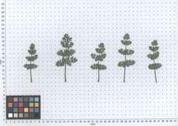 PI_652350_04ncai01_SD_PL_LV_2013-07-16_01.jpg