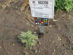 PI_652350_04ncai01_SD_PL_XX_2011-08-05_05.jpg