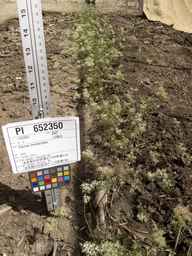 PI_652350_04ncai01_SD_PL_XX_2013-06-18_02.jpg