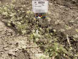 PI_652350_04ncai01_SD_PL_XX_2013-06-18_03.jpg