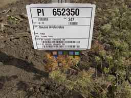 PI_652350_04ncai01_SD_PL_XX_2013-07-03_01.jpg