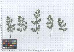 PI_652355_01ncai01_SD_PL_LV_2013-07-16_02.jpg