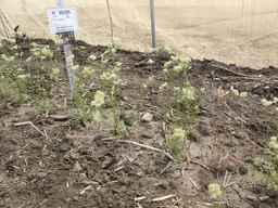 PI_652355_01ncai01_SD_PL_XX_2013-06-18_03.jpg