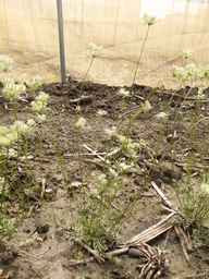 PI_652355_01ncai01_SD_PL_XX_2013-06-18_04.jpg