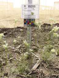 PI_652355_01ncai01_SD_PL_XX_2013-06-18_05.jpg