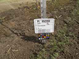 PI_652355_01ncai01_SD_PL_XX_2013-07-03_01.jpg