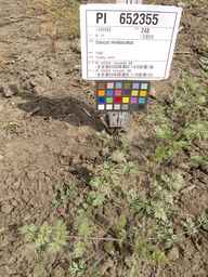 PI_652355_01ncai01_SD_PL_XX_2013-07-03_02.jpg
