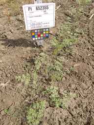 PI_652355_01ncai01_SD_PL_XX_2013-07-03_03.jpg