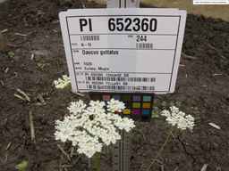 PI_652360_03ncai01_SD_PL_UM_2013-06-21_01.jpg