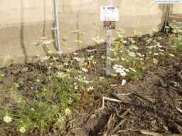 PI_652360_03ncai01_SD_PL_XX_2013-07-03_01.jpg