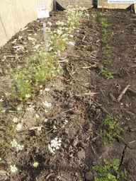 PI_652360_03ncai01_SD_PL_XX_2013-07-03_02.jpg