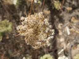 PI_652360_03ncai01_SD_SD_XX_2013-09-13_02.jpg
