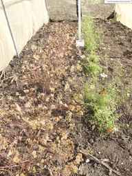 PI_652367_08ncai01_SD_PL_XX_2013-08-02_03.jpg