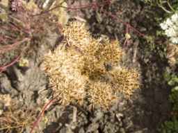 PI_652367_08ncai01_SD_SD_XX_2013-08-02_01.jpg