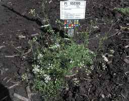 PI_652385_01ncai01_SD_PL_XX_2010-07-13_01.jpg