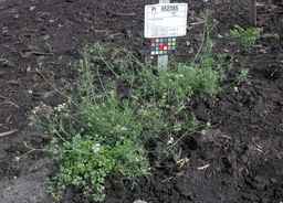 PI_652385_01ncai01_SD_PL_XX_2010-07-13_03.jpg