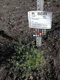 PI_652385_01ncai01_SD_PL_XX_2010-07-16_02.jpg