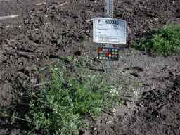 PI_652385_01ncai01_SD_PL_XX_2010-07-16_03.jpg