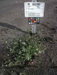 PI_652385_01ncai01_SD_PL_XX_2010-07-21_01.jpg