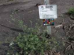 PI_652385_01ncai01_SD_PL_XX_2010-07-21_02.jpg