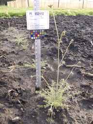 PI_652412_04ncai01_SD_PL_XX_2013-06-26_01.jpg