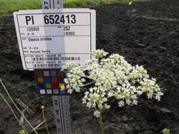 PI_652413_04ncai01_SD_PL_UM_2013-06-26_01.jpg