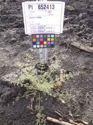 PI_652413_04ncai01_SD_PL_XX_2013-06-26_05.jpg
