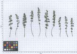 PI_652414_04ncai01_SD_PL_LV_2013-05-30_01.jpg