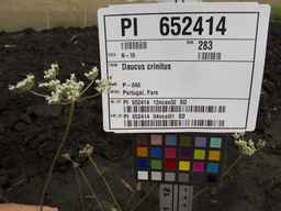 PI_652414_04ncai01_SD_PL_UM_2013-06-26_01.jpg