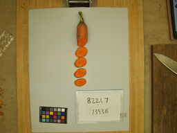 7393B_3.jpg
