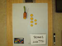 Ames_7701_3.jpg