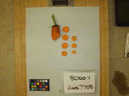 Ames_7705_3.jpg