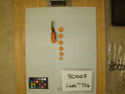 Ames_7706_3.jpg