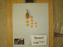 Ames_7717_3.jpg