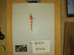B2566_3.jpg