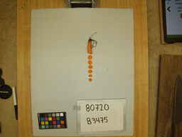 B3475_2.jpg