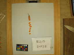 B493B_3.jpg