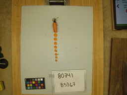 B5367_3.jpg