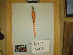 B6333_3.jpg