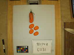 C1131_3.jpg