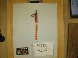 FN2-9_2.jpg