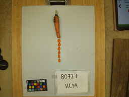 HCM_3.jpg