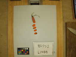 L1408_3.jpg